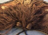 Grajewo ogłoszenia: Sprzedam pięknie zrobioną ćmę tak jak na zdjęciach może  być... - zdjęcie